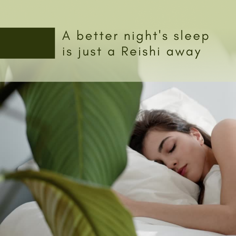 Reishi benefits : improve your sleep