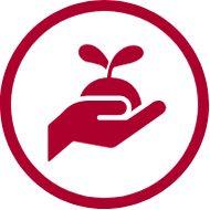 Certified organic by JAS (Japanese Agricultural Standards)