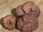 Organic Red Reishi Whole mushroom