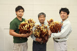 Oukou Deer Horn Reishi Capsules