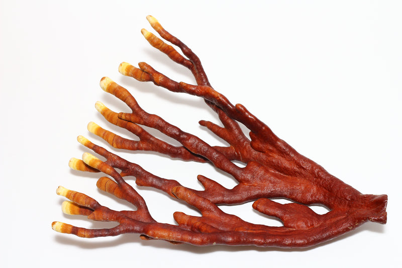 REISENMEITO Organic Deer Horn Reishi Tea (Luxary package) 15